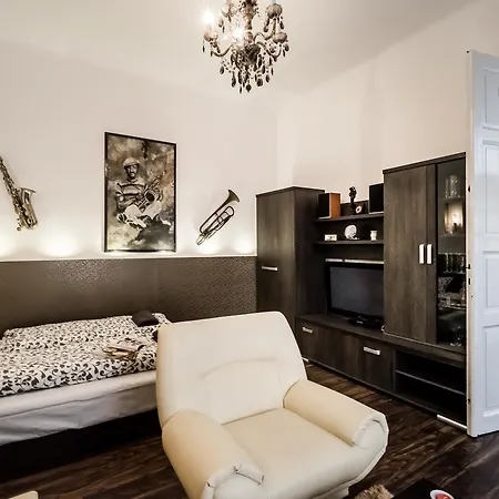 Nagymezo 8 Entire Apartment Budapest